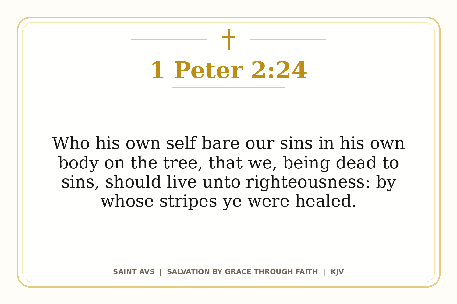 Salvation by Grace Through Faith flashcard for 93 1 peter 2 24